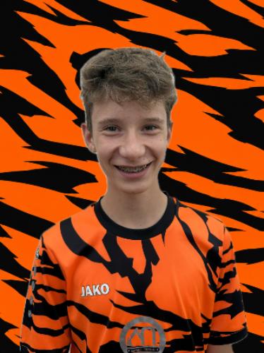 Adrian Link