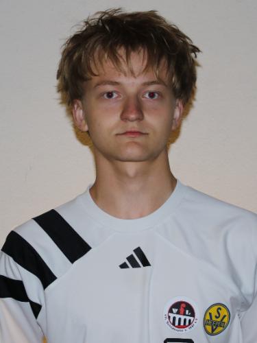 Timo Werning