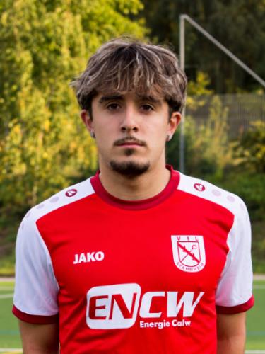 Gabriel Ferreira Alves