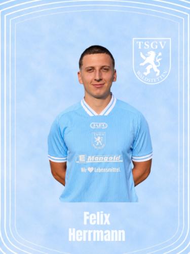Felix Herrmann