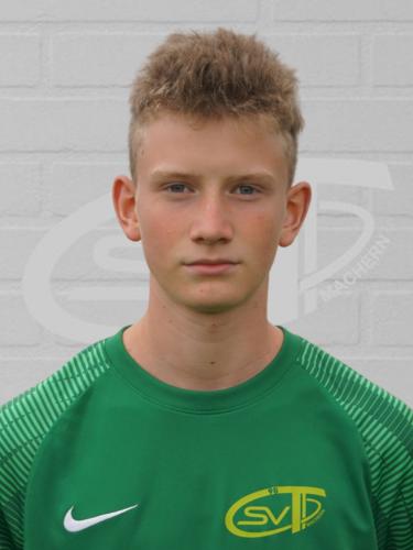 Niklas Wildfeuer