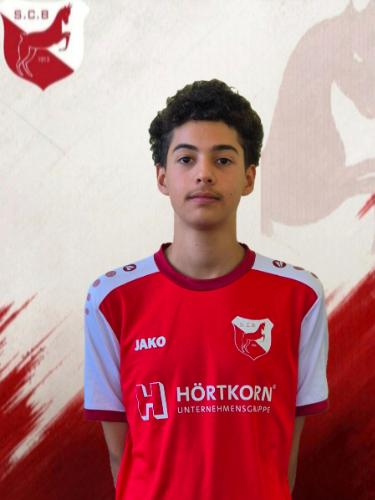Metehan Muhammed Dargic