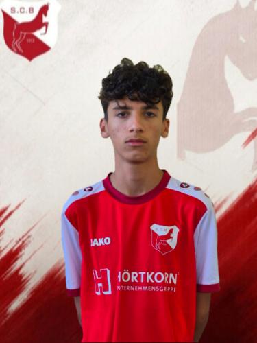 Robin Özekinci