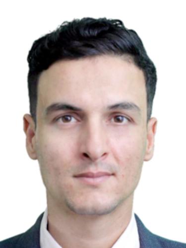Hichem Salhi