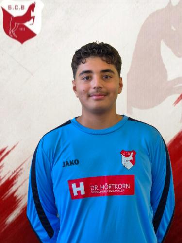 Sadek Wael