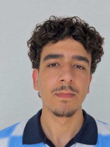 Mohamed Wagdi Hassan Mohamed