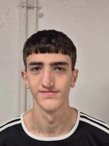 Elso Halili