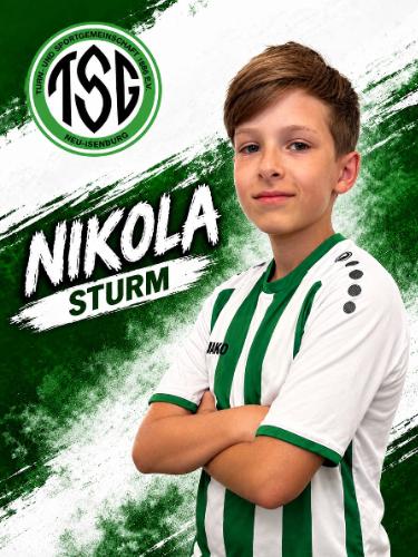 Nikola Ciric