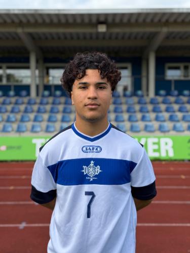 Hamid Hasan