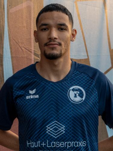 Mehdi Naili