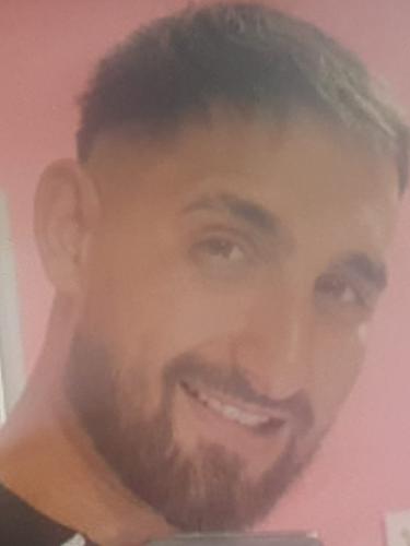 Mehmed Bergin