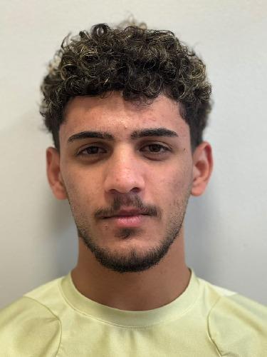 Ali Alsheich Mahmoud