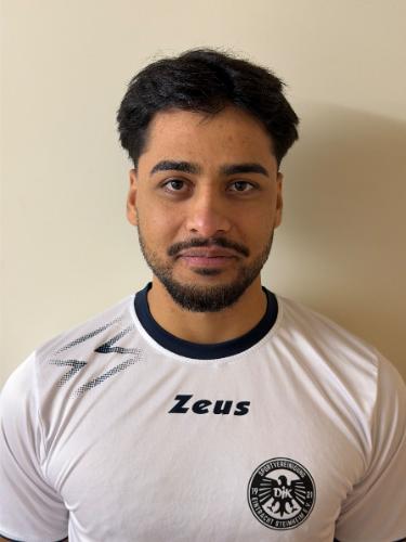 Ali Rahmani