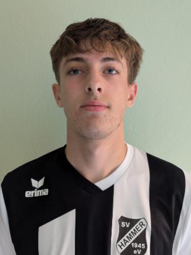 Niklas Hevendehl