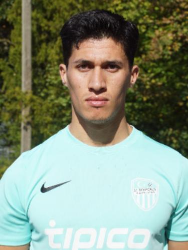 Ramin Amini