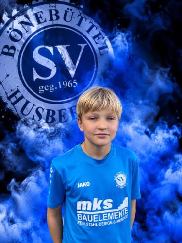 Viggo Willem Heilck
