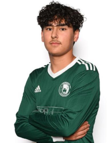 Mehran Mirzaie