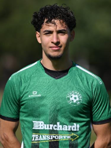 Mohamad Osama Alnwailati Almasri