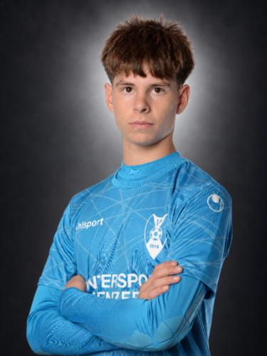 Darius Milesan