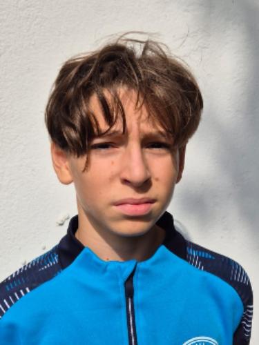Darius Andrei Mitrescu