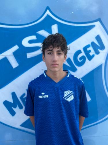 Laurenz Hibinger