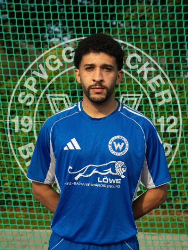 Mehdi El Asry