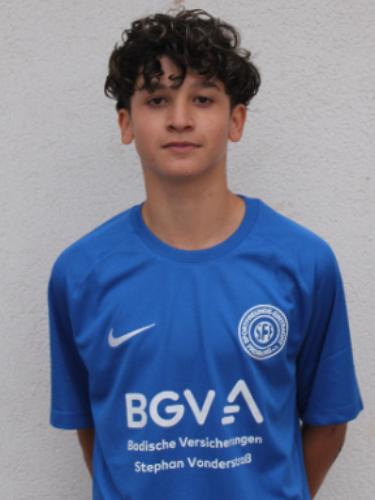 Elmedin Selatin Salijevic