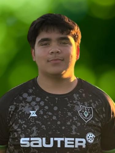 Renato Felipe Cruz Gomes