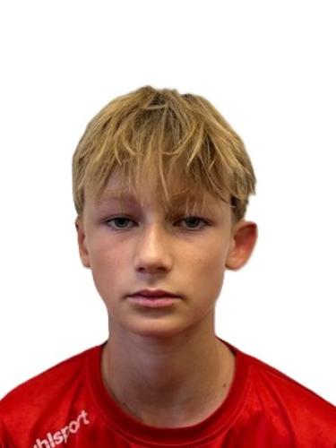 Ludo Krause