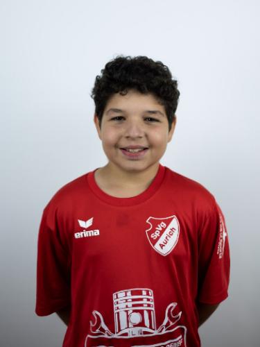Sofian Proni
