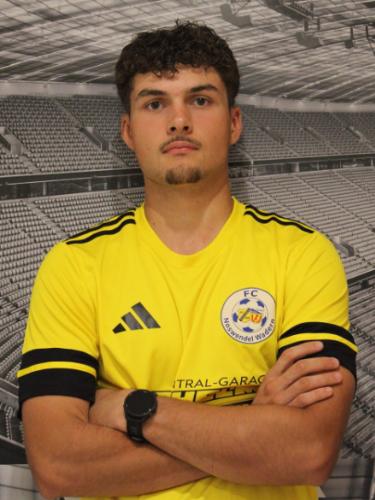 Finn Birtel