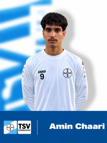 Mohamed Amin Chaari