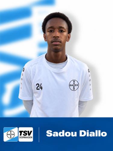 Sadou Dine Diallo