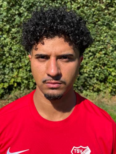 Morteza Asade