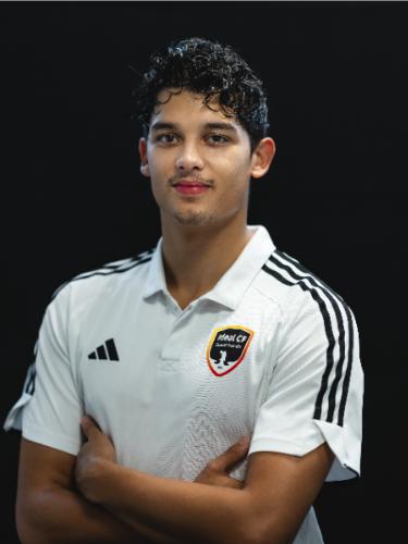 Alessandro Tallarico Alves