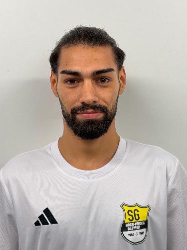 Ramin Habibi