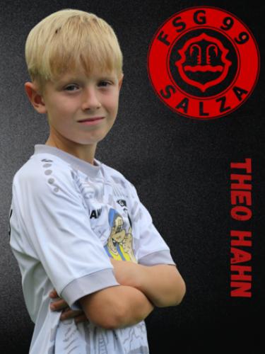 Theo Hahn