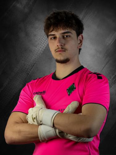 Vladimir Milicevic