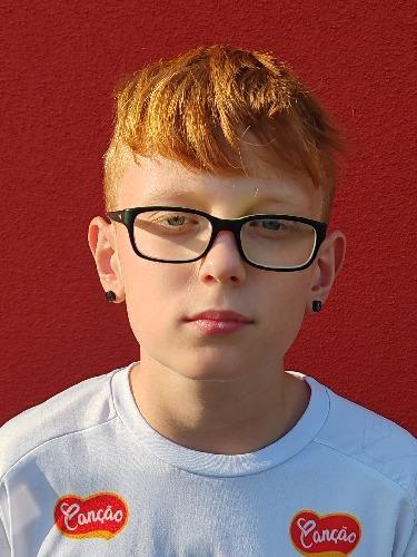 Leo Najdek