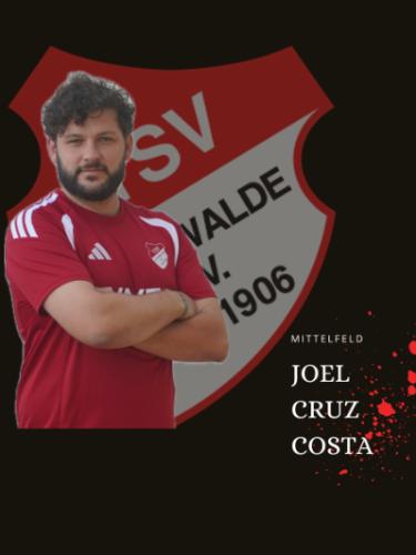 Joel Cruz-Costa