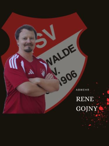 Rene Martin Gojny