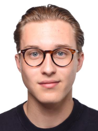 Finn Birk
