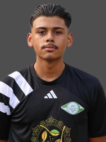 Jolino Adriano Reinhard