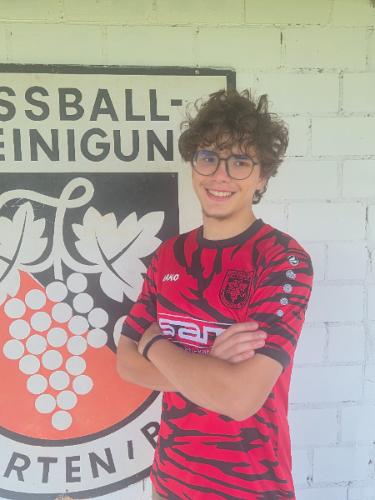 Bogdan-Sebastian Soltan