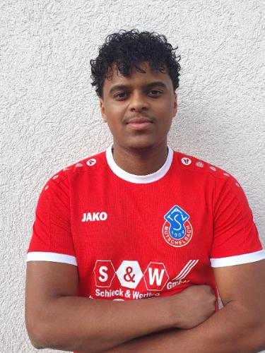 Gael Feser