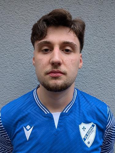 Lejs Palic