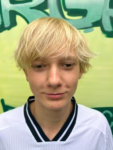 Niklas Bamler