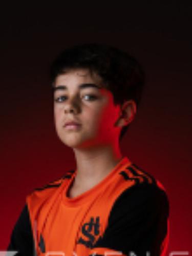 Raphael Napolitano