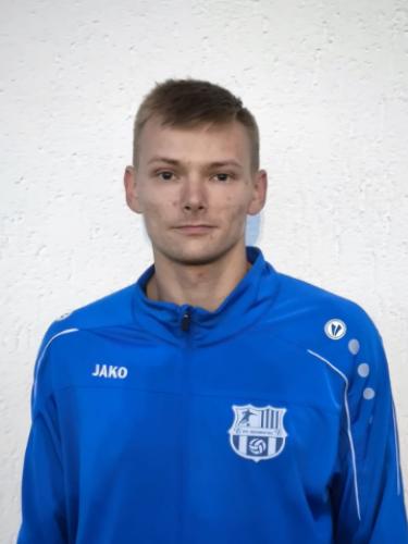 Domenik Haenel