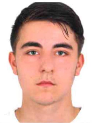 Mirko Wach